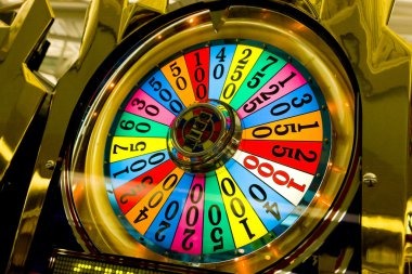 Live dealer dealing cards on gm togel